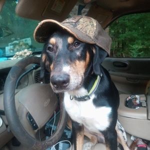 Meet your Posher, William